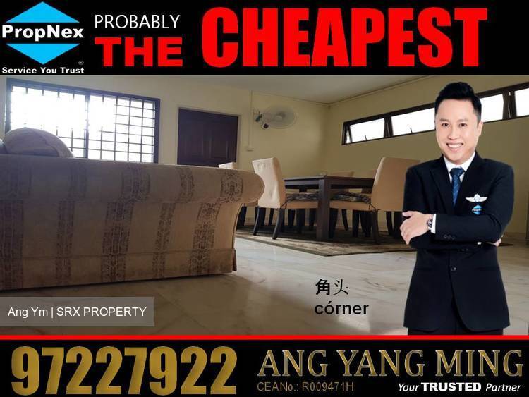 Blk 223 Bukit Batok East Avenue 3 (Bukit Batok), HDB Executive #191518072